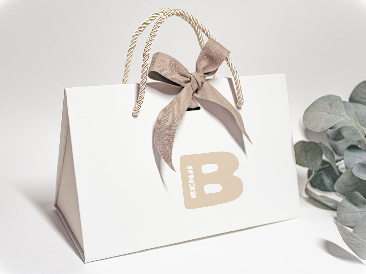 Bag Box