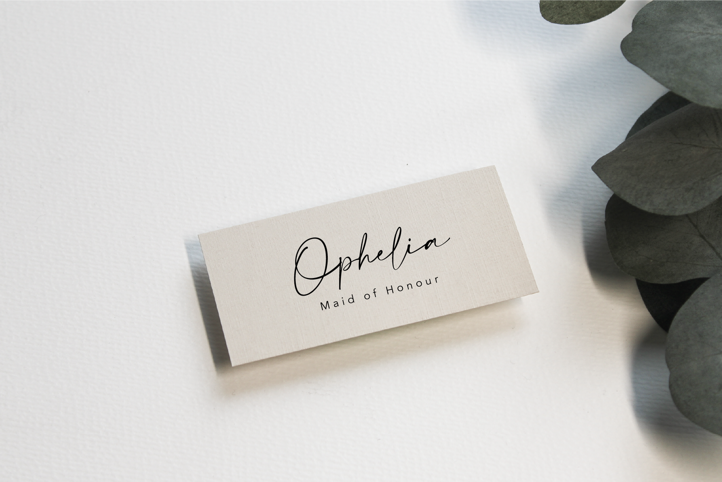 Flat Lay Place Settings